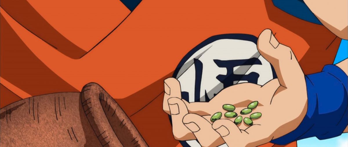 Dragonball Z Goku holding sensu beans