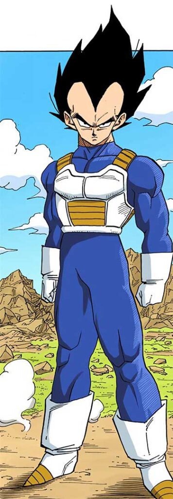 Dragonball Z Vegeta